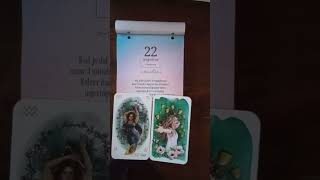 today's tarot cards for the 22nd of August 2024 come out of your world wishes coming true!#tarot