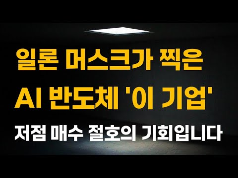 [주식] 일론 머스크가 찍은 AI 반도체 '이 기업' 저점 매수 절호의 기회입니다.[증시전망, 1월주식전망, 2025년주식전망, 브로드컴관련주, AI 대장주]