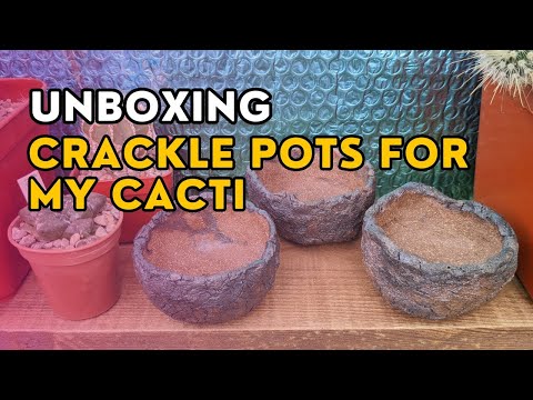 Unboxing ceramic crackle pots for my cactus collection