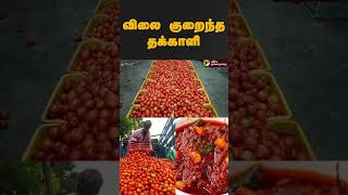 விலை குறைந்த தக்காளி | Today Tomato Price | #shorts | #tomato