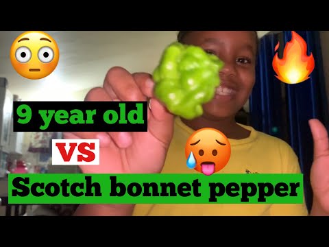 Our daughter ate scotch bonnet pepper 🔥🔥🥵🥵 || #gettingitwright #aeja #pepper