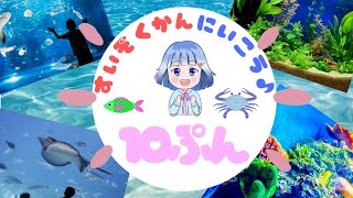 😊ちいさいこどうが😊　水族館に行こう！１０分 #知育 #子ども向け