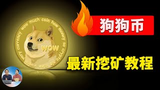 一年暴涨100倍！狗狗币最新挖矿教程，电脑也能快速挖，马斯克&特朗普助推 2024 | 零度解说