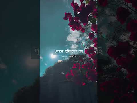 নতুন বছরে তোমাকেই চাই ❤️ | Bangla status | #viralstatus #shortvideo #reels #trending