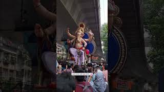 || मोरया रे गजानना बाप्पा आमचा गणराया....|| 💖 #majha_bappa_officia #ganeshutsav2024