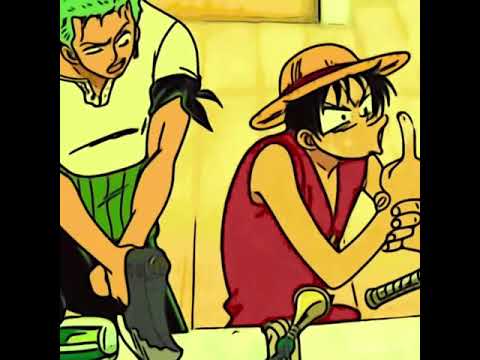 Zoro & Luffy funny moment