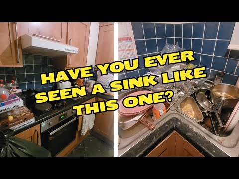 Kitchen clean for neurodivergent lady to avoid eviction before landlord inspection!