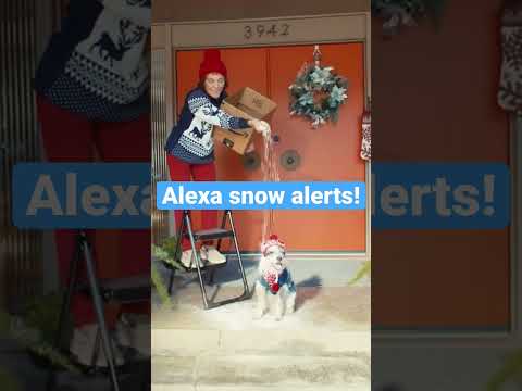 Never miss a snow day with Alexa! ☃️❄️ #shorts