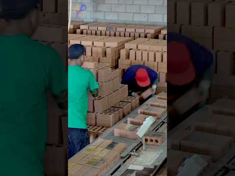 How is Made Brick that Makes 100,000 Pieces a Day