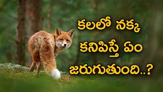 Kalalo Nakka Kanabadithe | Nakka Kalalo Kanabadithe | Kalalo Fox Kanabadithe | Fox In Dreams