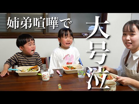 【ワーママ】ワンオペ中に姉弟喧嘩勃発！！大号泣の4歳姉と2歳弟！！