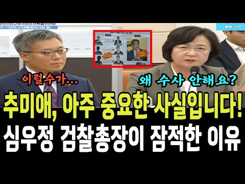 (자막완료) 추미애, 아주 중요한 날입니다! 잘 들으세요!!...심우정 검찰총장이 지금 잠적한 이유~~!!