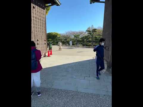 Himeji Castel Japan #travel #vlog #solo