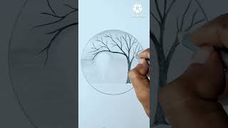 How to draw a pencil drawing #😍easy pencilshading #girlpencilsketch #creativeart #senaryinacircle..