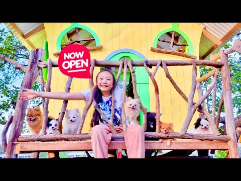 Bug opened a restaurant for Pets! | Little Big Toys