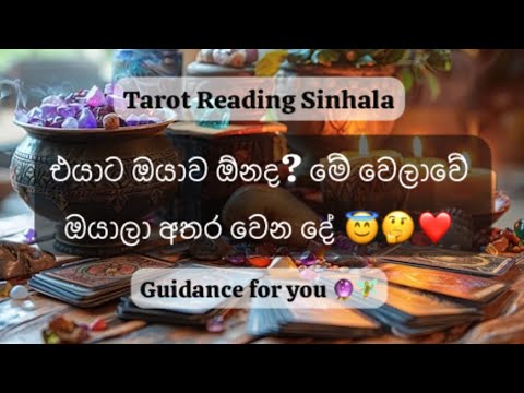 Do they really want you 🤔❤️🥹 What happen between the two you 🤗 #tarotspread #srilanka #love