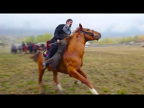 super slow motion horse game