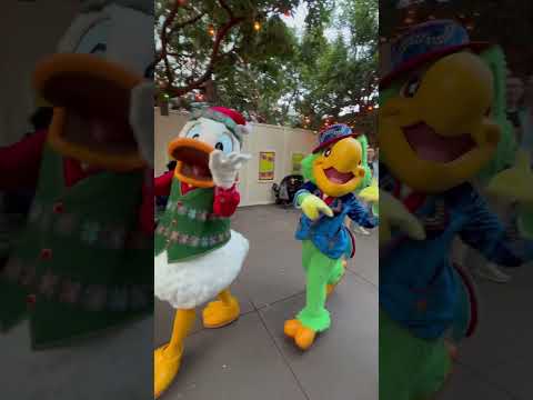 Three Caballeros at Disneyland California Adventure #threecaballeros #disney #amusementpark