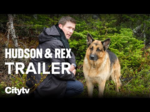 WATCH Hudson & Rex Sundays on Citytv | Best TV Shows 2022