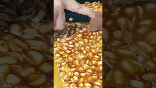 Moongfali chikki and dryfruits chikki for winters#Shorts#ytshorts#trending#mausamkajadoo#chikki#food