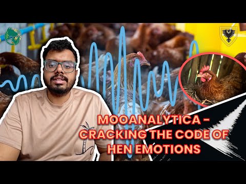 Unlocking Hen Emotions ~ AI Cracks the Code of Clucks and Squawks - Venkatraman Manikandan