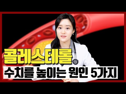 콜레스테롤 수치를 높이는 생활 속 원인 5가지