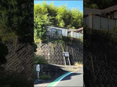 Japan walking Tour Japanese Countryside Village #shorts #travel #japan #walkthrough