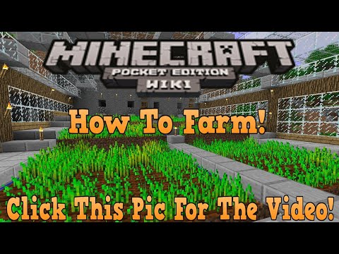 Minecraft  farm in block