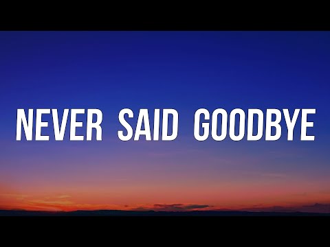 Jake Bugg - Never Said Goodbye (Lyrics)