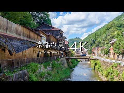 [Summer scenery in Kyoto] Kitayama Odai cedar and wooden warehouses - JAPAN in 4K