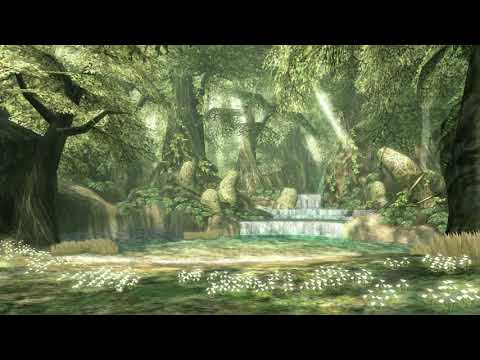 Faron Woods - Twilight Princess