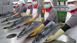 Salmon fish cutting & salmon donburi making! / 鮭魚加工, 鮭魚丼飯 - Taiwanese food factory