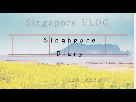 Singapore V Log Essay - Singapore Bus Trip