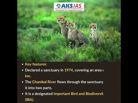 Gandhi Sagar Wildlife Sanctuary #aksias#upsc #currentaffairs #GandhiSagarWildlifeSanctuary #cheetahs