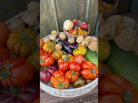 Growing your own food is very rewarding! Backyard harvest haul #locallygrown #foodgardens #veggies