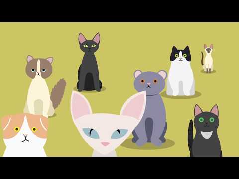 Business Process Improvement (BPI): Herding Cats