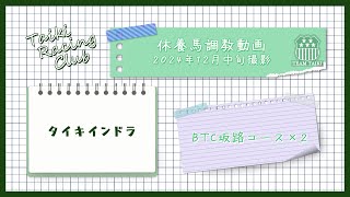 【タイキインドラ】調教動画　BTC坂路コース　2024年12月中旬撮影