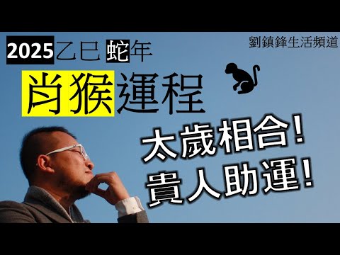 2025年肖猴運程|太歲相合 貴人助運 | 巳申合 太陰 天乙 玉堂 | 劉鎮鋒生活頻道