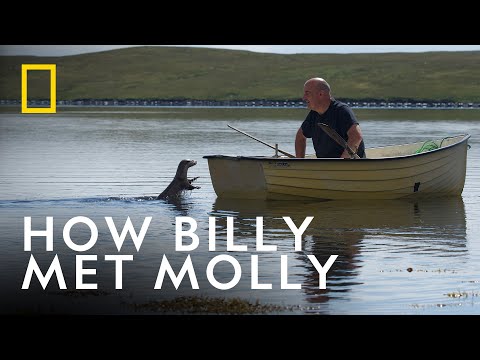 The Otter That Became Part of a Family | Billy & Molly: An Otter Love Story | National Geographic UK