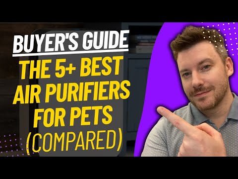 TOP 5 Best Air Purifiers For Pets - Best Air Purifier For Pets Review (2024)