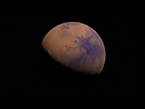 The Very Real Possibility of Life on Mars