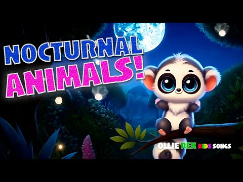 Nocturnal Animals Song | Nighttime Creatures Fun for Kids!