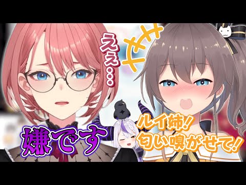 スタジオでまつり先輩に匂いを嗅がれそうになり本気で嫌がるルイ姉【ホロライブ切り抜き/鷹嶺ルイ/夏色まつり/ラプラス・ダークネス】