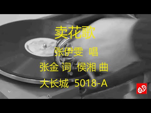 卖花歌   -   张伊雯