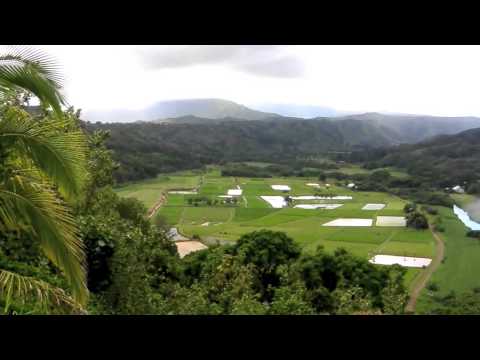 Hanalei Valley Lookout