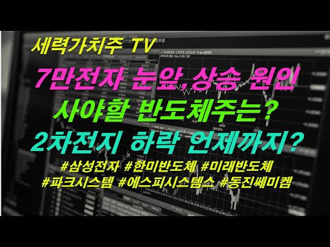 [주식 05.21] 7만전자 눈앞,상승 원인과,사야할 반도체주는,2차전지하락 언제까지 ( #삼성전자 #한미반도체 #미래반도체 #파크시스템 #에스피시스템스 #동진쎄미켐) #세력가치주