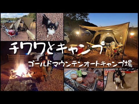 【犬連れキャンプ】千葉県：ゴールドマウンテンオートキャンプ場・ドッグフリーサイト