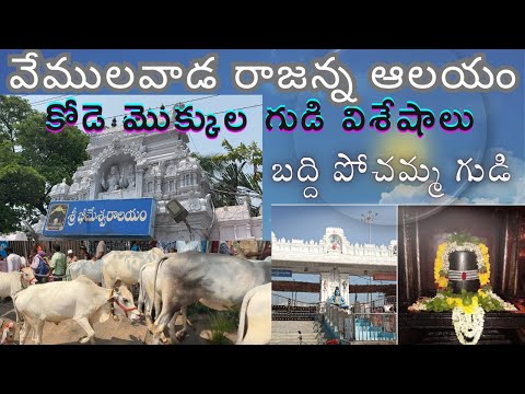 Vemulawada temple | Sri Rajarajeswara swamy Aalayam | Kode mokkula temple