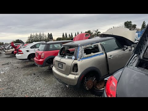 15 Minis at 1 Junkyard in California