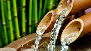 BAMBOO WATER FOUNTAIN | Relax & Get Your Zen On | White Noise